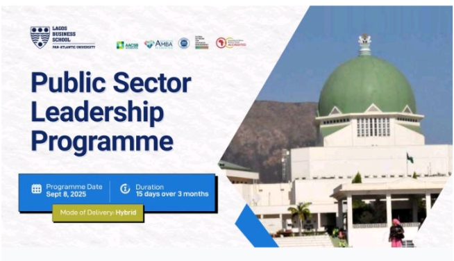 Public Sector Leadership Programme
